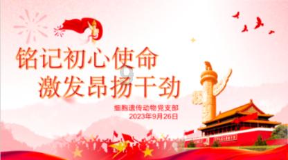 奇妙香蕉之旅